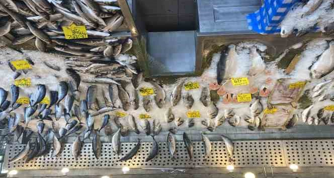 Balık fiyatları düştü, Karadeniz somonu 300 yerine 100 liradan satılıyor