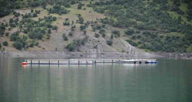 Devletin projeleriyle Şırnak’ta balık hasadı yapılıyor