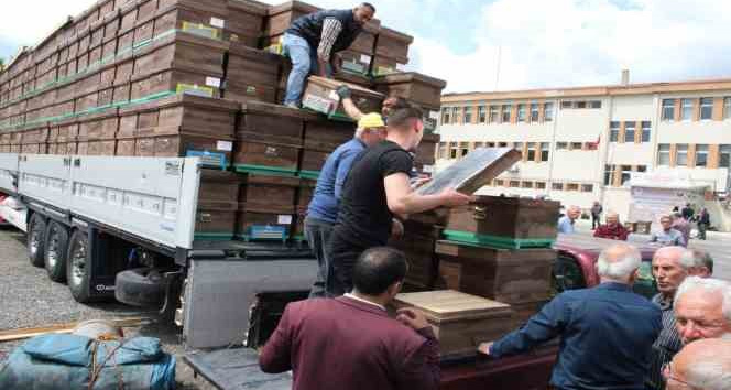Bin 400 arı kovanı dağıtıldı, hedef mevcut 80 bin sayısını 250 bine çıkartmak