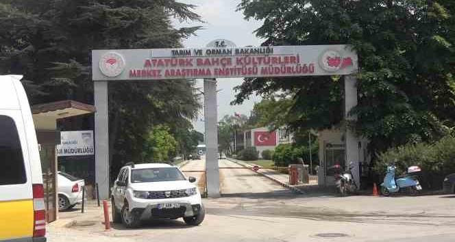 Yalova Atatürk Merkez Araştırma Enstitüsünde korkutan yangın