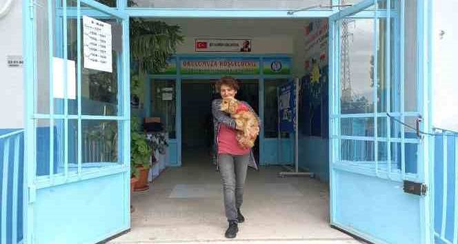 Oy kullanmaya köpeğiyle geldi