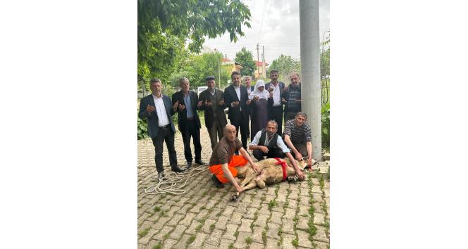 Erdoğan kazanınca 83 yaşındaki nine koç kestirdi