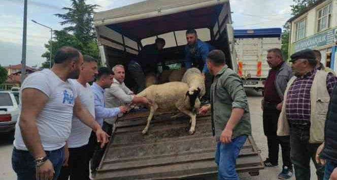Mahalle muhtarı Cumhurbaşkanı Erdoğan için 7 küçükbaş hayvan kestirdi