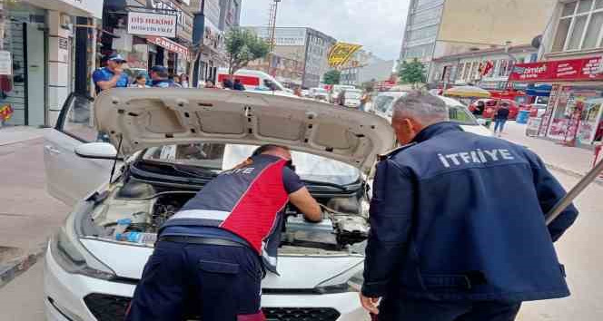 Keşan’da itfaiyenin kurtardığı kedi, hayvansever tarafından sahiplenildi
