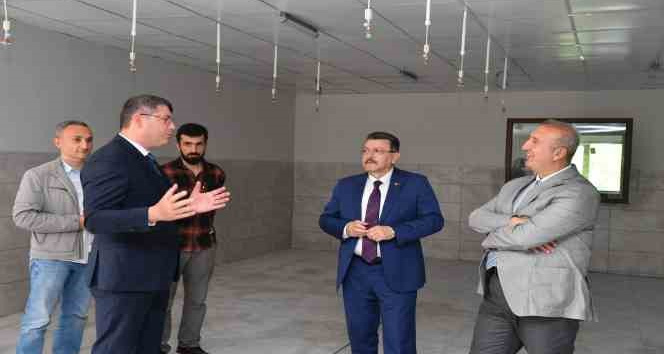 Karadeniz Bölgesi’nin ilk kara salyangozu üretim tesisi yakında Trabzon’da faaliyete geçecek