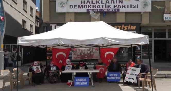 Evladı dağa kaçırılan anne: “Demirtaş’ı cezaevinden çıkaracaklardı. Şimdi çıkarsınlar da görelim”