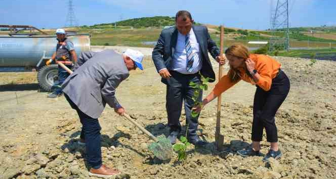 Lapseki’de ağaçlandırma çalışması