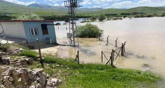 Karasu Nehri taştı, ekili tarlalar sular altında kaldı