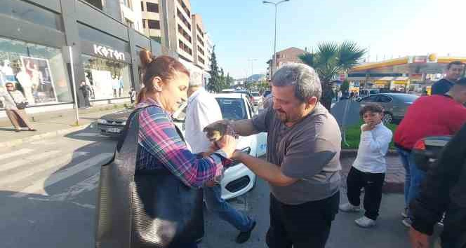 Motora sıkışan kedi için seferber oldular