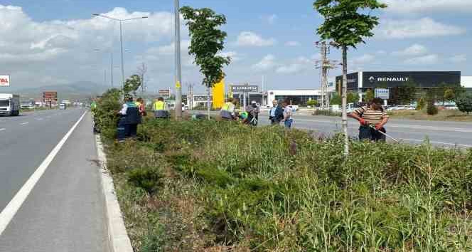 Kayseri’de Yabancı Otlarla Mücadele