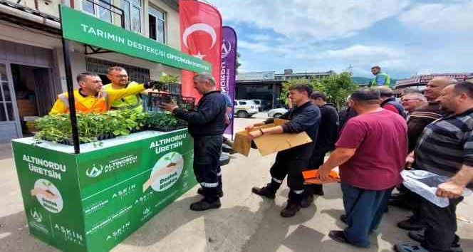 Altınordu’da çiftçilere 452 bin adet fide desteği