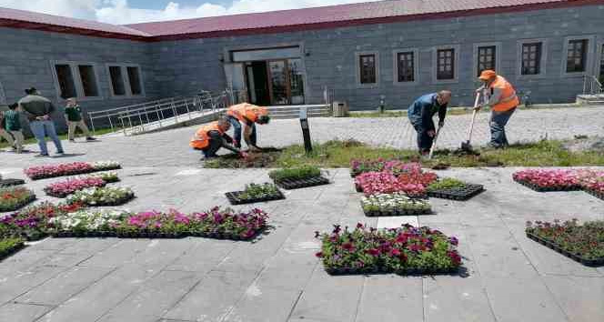 Kars’ta park ve bahçeler çiçek açıyor