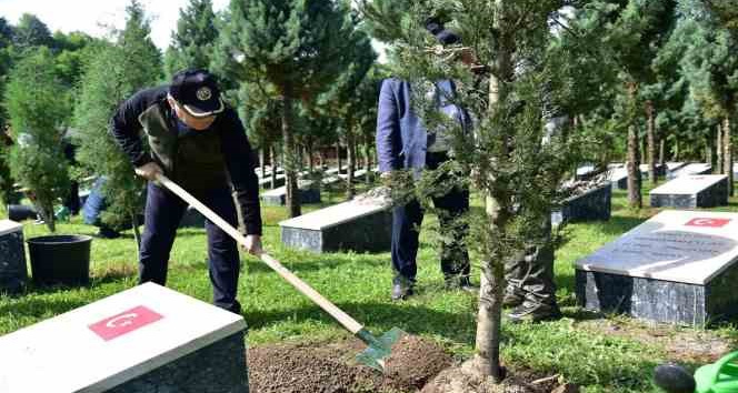 Vali Tutulmaz, Kdz. Ereğli ilçesindeki çalışmaları inceledi