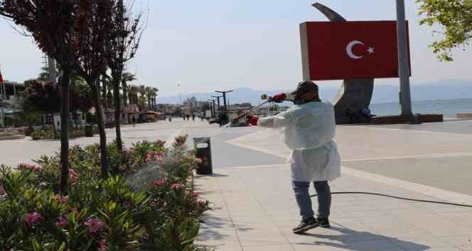 Edremit’te sivrisinek ile mücadeleye hız verildi