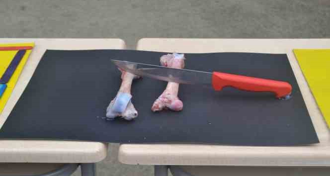 Atasözleri ve tabirleri maketle anlattılar