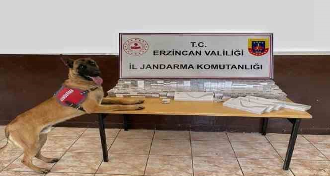 Erzincan’da jandarma ekipleri kaçakçılık olaylarına geçit vermiyor