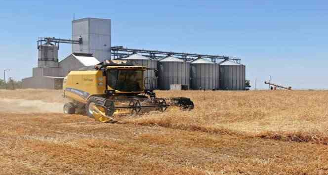 Mardin’de biçerdöverlerin hasat biçme fiyatı belli oldu