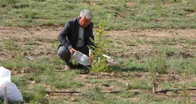 Her yıl binlerce fidanı toprakla buluşturuyor, bozkırı yeşile büründürüyor