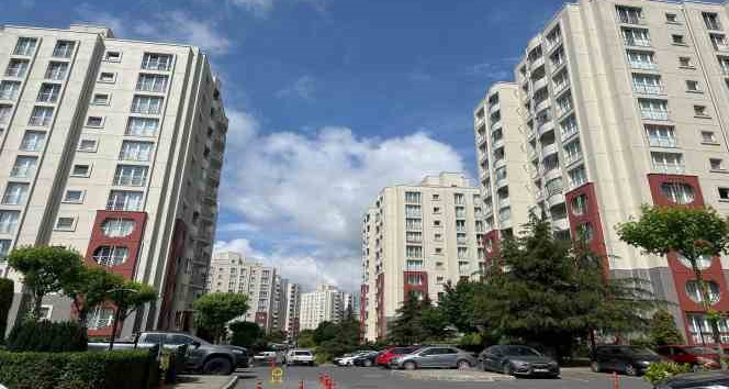 Başakşehir’de site yönetiminin kedileri toplayarak boş araziye attığı iddiası tepkiye neden oldu