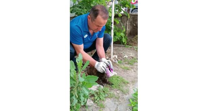 Kafası konserve kutusuna sıkışan kedi kurtarıldı