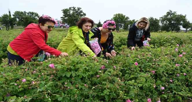 Uluslararası Gül Festivalinde gül toplayıp, gül şehri Isparta’yı tanıdılar