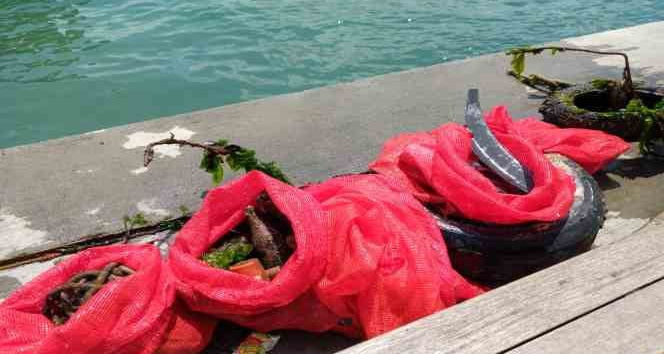 Denizden çıkarılan attıktan elbise yaptılar