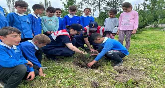 Tokat’ta Jandarma ve çocuklar fidan dikti