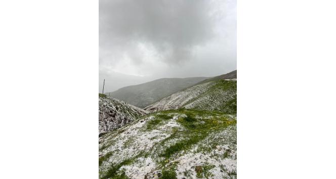 Gümüşhane’de dolu yaylaları beyaza bürüdü