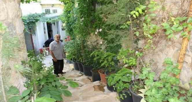 Mardin’de tarihi sokak bahçeye dönüştürüldü