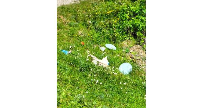 Taşçılar Göleti’nin çevresi çöplüğe döndü