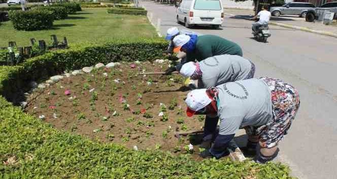 Burhaniye çiçeklerle renkleniyor