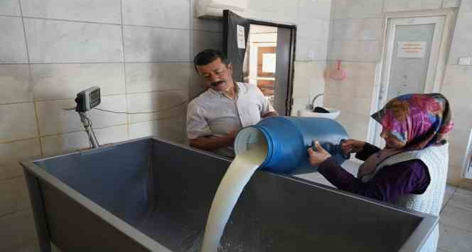 Üreticinin yüzü bu projeyle güldü