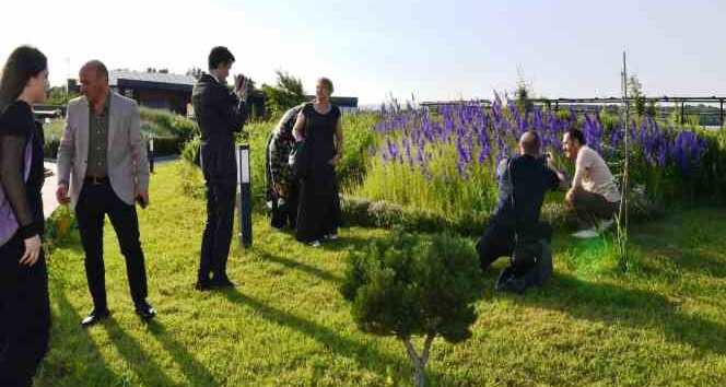 Ressamlar, Hersek Bölgesine hayran kaldılar