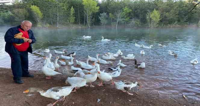 Hayvanları beslemeden spora başlamıyor