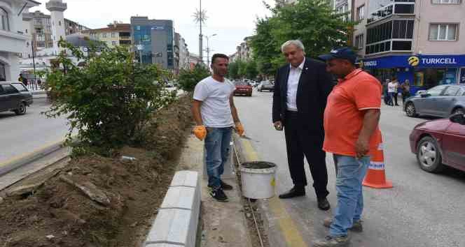 Başkan Bakkalcıoğlu çalışmaları inceledi