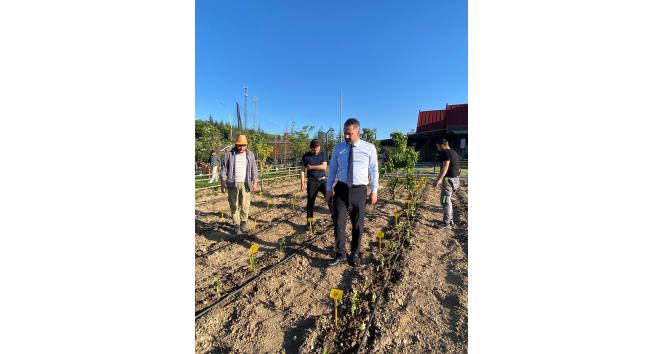 Pursaklar’da ata tohumları ata bahçesinde toprakla buluştu