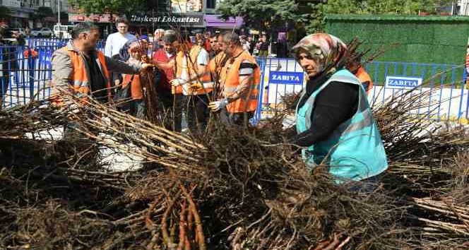 Isparta Belediyesinin dağıttığı fidan sayısı 72 bine ulaştı