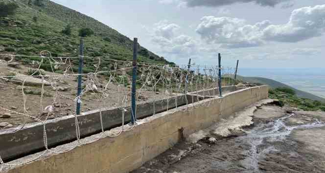 Karaman’da yılkı atlarını yakalamaya çalışan 2 kişi yakaladı