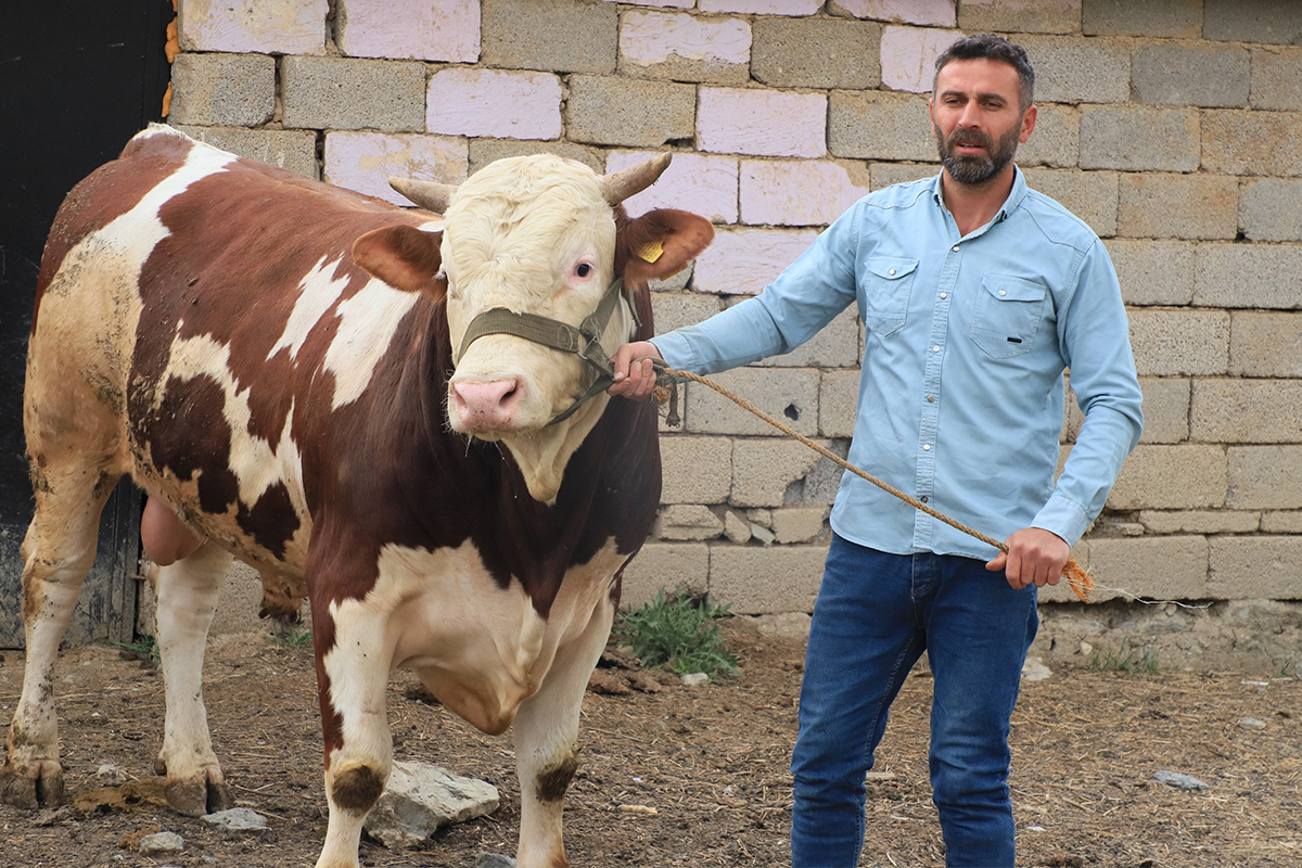 1 tonluk &#039;Çalo&#039;, 130 bin liradan alıcısını bekliyor