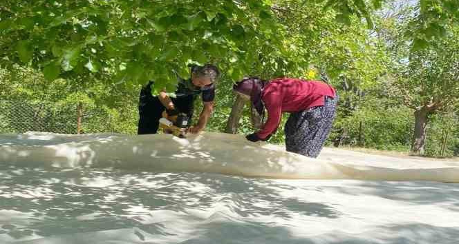 Tunceli’de dut üreticileri dayanışma içerisinde bahçelerini sezona hazırlıyor
