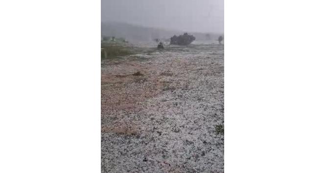 Tokat’ta meyve ağaçları ve ekili arazileri dolu vurdu