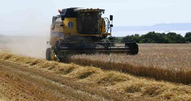 Çanakkale’de arpa hasadı başladı