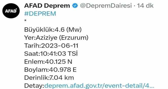 Erzurum 4,6 ile sallandı
