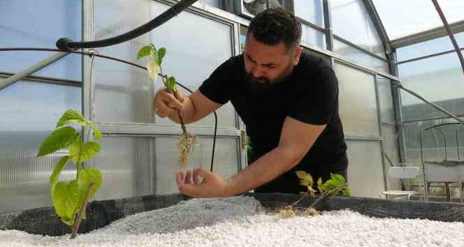Dünyada ilk kez denendi, çiftçilerden yoğun ilgi gördü