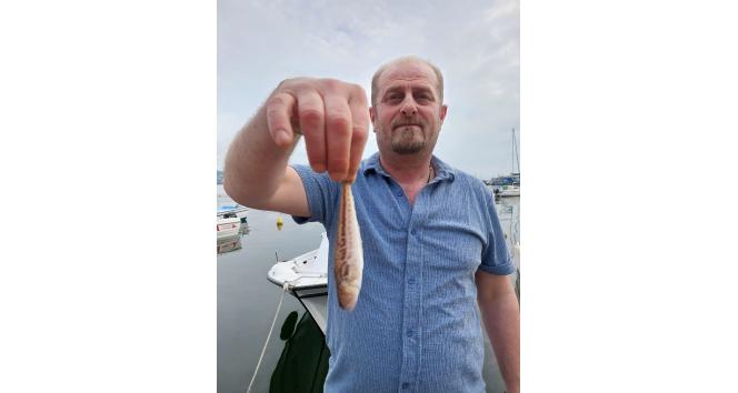 Zonguldaklı balıkçıların ağına zehirli trakonya takıldı
