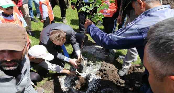 Hanak’ta 600 fidan toprakla buluşturuldu