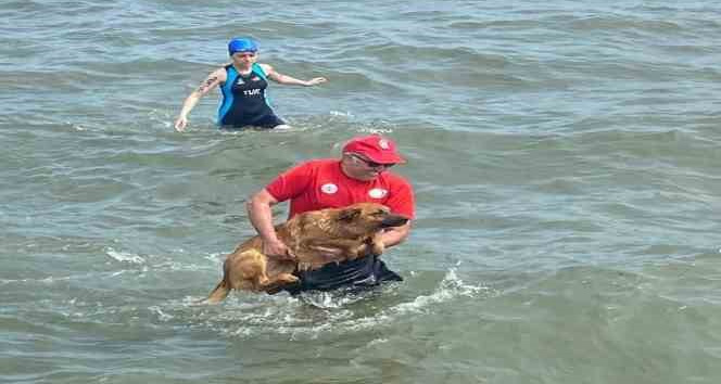 Ordu’daki triatlon yarışlarında ilginç olay