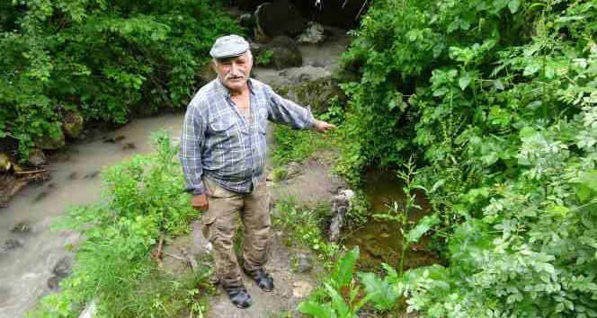Sarılık hastaları bu suda şifa arıyor