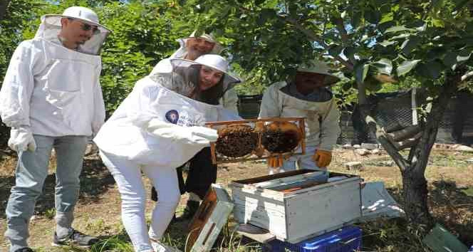 Büyükşehir kursiyerleri kovan başında arıcılık eğitimi aldı