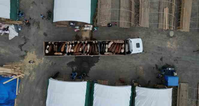 Sultangazi’de kurbanlıklar pazara gelmeye başlandı